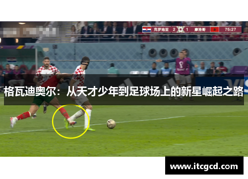 格瓦迪奥尔：从天才少年到足球场上的新星崛起之路